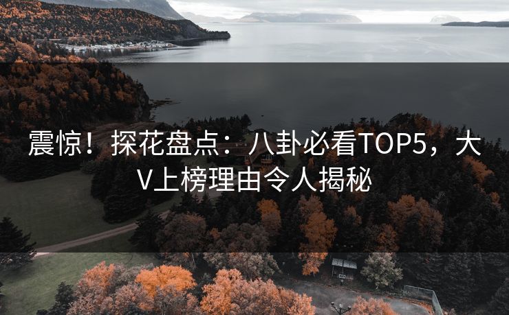 震惊!探花盘点:八卦必看TOP5,大V上榜理由令人揭秘