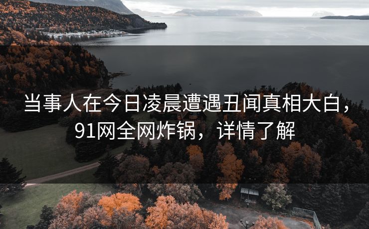 当事人在今日凌晨遭遇丑闻真相大白，91网全网炸锅，详情了解