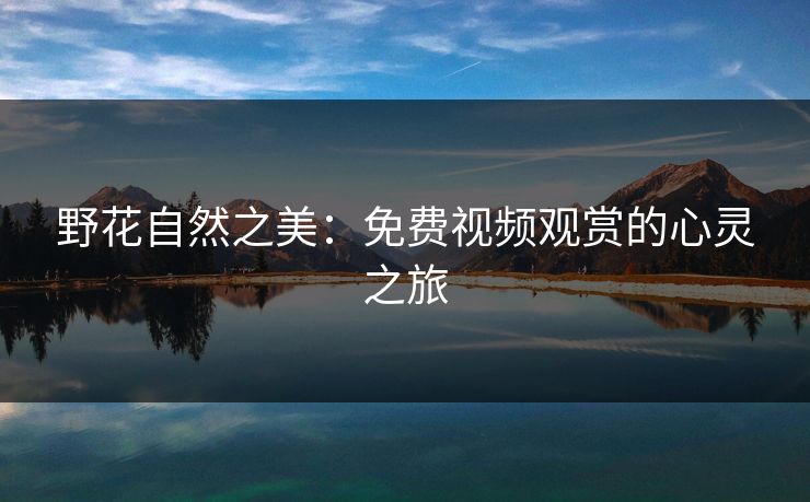 野花自然之美：免费视频观赏的心灵之旅
