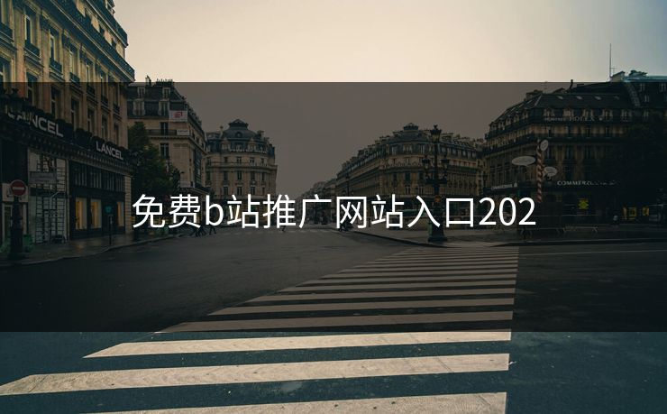 免费b站推广网站入口202
