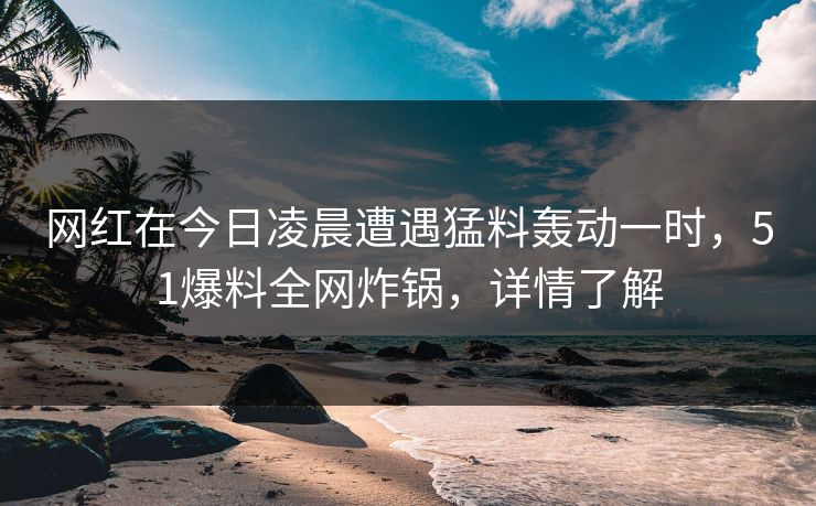 网红在今日凌晨遭遇猛料轰动一时，51爆料全网炸锅，详情了解