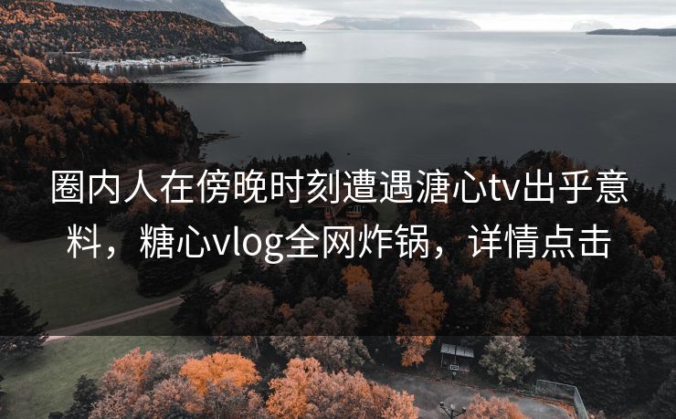 圈内人在傍晚时刻遭遇溏心tv出乎意料，糖心vlog全网炸锅，详情点击