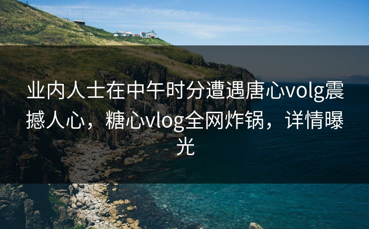 业内人士在中午时分遭遇唐心volg震撼人心，糖心vlog全网炸锅，详情曝光
